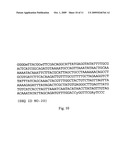 Method for the detection of group B Streptococcus (GBS) (Streptococcus agalactiae) in mammals diagram and image