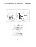 METHOD OF DETECTING CANCER AND EVALUATING CANCER PROGNOSIS diagram and image