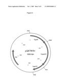 Bi-Directional Selection Markers With Improved Activity diagram and image