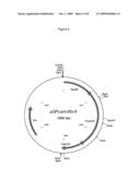 Bi-Directional Selection Markers With Improved Activity diagram and image