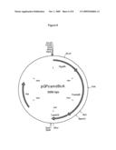 Bi-Directional Selection Markers With Improved Activity diagram and image