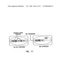 RECOMBINANT INFLUENZA VIRUSES FOR VACCINES AND GENE THERAPY diagram and image