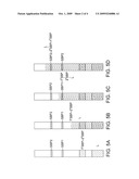 LATERAL FLOW TEST STRIP WITH MIGRATING LABEL diagram and image