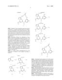 PROTEIN KINASE INHIBITORS diagram and image