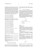 HSP90 Inhibitor diagram and image