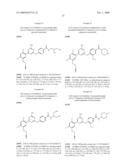 HSP90 Inhibitor diagram and image