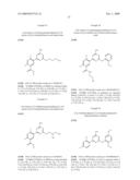 HSP90 Inhibitor diagram and image