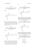 HSP90 Inhibitor diagram and image