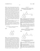 HSP90 Inhibitor diagram and image