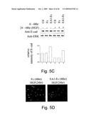 PEPTIDE AND SMALL MOLECULE AGONISTS OF EPHA AND THEIR USES diagram and image