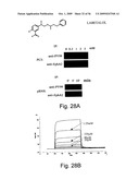 PEPTIDE AND SMALL MOLECULE AGONISTS OF EPHA AND THEIR USES diagram and image