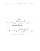 Folate Conjugates diagram and image