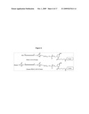 Folate Conjugates diagram and image