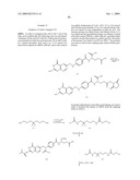 Folate Conjugates diagram and image