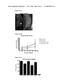 Folate Conjugates diagram and image