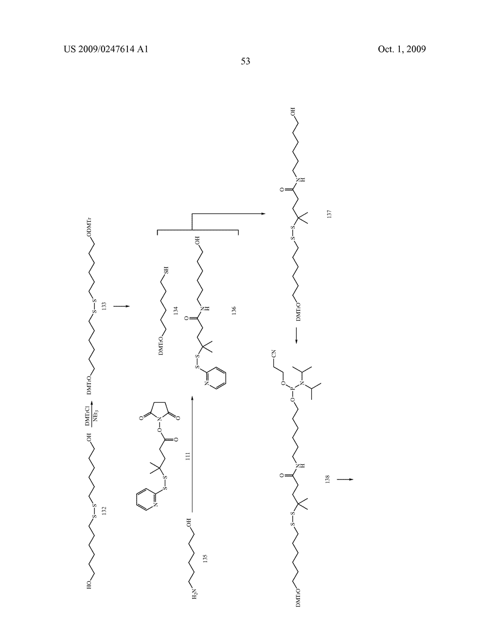 Folate Conjugates - diagram, schematic, and image 71