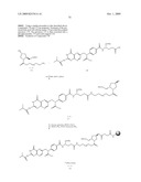 Folate Conjugates diagram and image