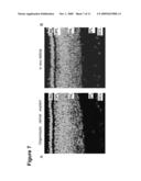 DEVICE AND METHOD FOR MEASURING IMPEDANCE IN ORGANOTYPIC TISSUES diagram and image