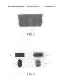 MAGNETIC RESONANCE IMAGING SYSTEM AND METHOD diagram and image