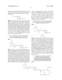 N-ALKOXYAMIDE CONJUGATES AS IMAGING AGENTS diagram and image