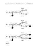 Antibodies Against Amyloid Beta 4 With Glycosylated in the Variable Region diagram and image