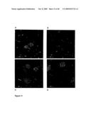 Antibodies Against Amyloid Beta 4 With Glycosylated in the Variable Region diagram and image