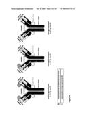 Antibodies Against Amyloid Beta 4 With Glycosylated in the Variable Region diagram and image