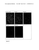 Antibodies Against Amyloid Beta 4 With Glycosylated in the Variable Region diagram and image