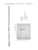 NUCLEIC ACID AND CORRESPONDING PROTEIN NAMED 158P1D7 USEFUL IN THE TREATMENT AND DETECTION OF BLADDER AND OTHER CANCERS diagram and image