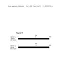 NUCLEIC ACID AND CORRESPONDING PROTEIN NAMED 158P1D7 USEFUL IN THE TREATMENT AND DETECTION OF BLADDER AND OTHER CANCERS diagram and image