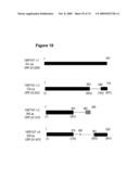 NUCLEIC ACID AND CORRESPONDING PROTEIN NAMED 158P1D7 USEFUL IN THE TREATMENT AND DETECTION OF BLADDER AND OTHER CANCERS diagram and image