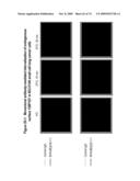 NUCLEIC ACID AND CORRESPONDING PROTEIN NAMED 158P1D7 USEFUL IN THE TREATMENT AND DETECTION OF BLADDER AND OTHER CANCERS diagram and image