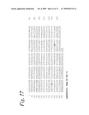 Single-chain Fc (scFc) regions, binding polypeptides comprising same, and methods related thereto diagram and image