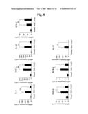 Antihuman alpha 9 Integrin Antibody and use of the Same diagram and image