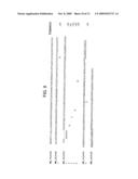 T Cell Regulatory Genes And Methods Of Use Thereof diagram and image