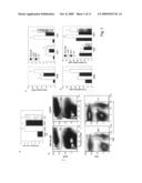 HUMAN MONOCLONAL ANTI-CTLA4 ANTIBODIES IN CANCER TREATMENT diagram and image