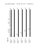 NUCLEIC ACIDS AND CORRESPONDING PROTEINS ENTITLED 282P1G3 USEFUL IN TREATMENT AND DETECTION OF CANCER diagram and image