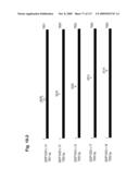 NUCLEIC ACIDS AND CORRESPONDING PROTEINS ENTITLED 282P1G3 USEFUL IN TREATMENT AND DETECTION OF CANCER diagram and image