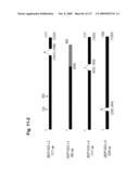 NUCLEIC ACIDS AND CORRESPONDING PROTEINS ENTITLED 282P1G3 USEFUL IN TREATMENT AND DETECTION OF CANCER diagram and image