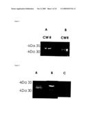 PROTEIN-BASED STREPTOCOCCUS PNEUMONIAE VACCINES diagram and image