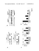 MEANS FOR INHIBITING THE EXPRESSION OF CD31 diagram and image