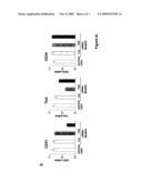 MEANS FOR INHIBITING THE EXPRESSION OF CD31 diagram and image