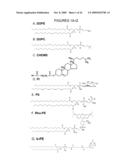 ENDOPLASMIC RETICULUM TARGETING LIPOSOMES diagram and image