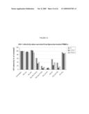 ENDOPLASMIC RETICULUM TARGETING LIPOSOMES diagram and image