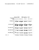 Use of a Biologically Active Blood Serum for the Treatment of a Disorder Characterized in a Reduced Function of a GABA Receptor diagram and image