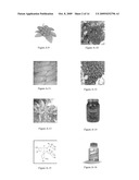 NUTRITIONAL SUPPLEMENT FOR THE PREVENTION OF CARDIOVASCULAR DISEASE, ALZHEIMER S DISEASE, DIABETES, AND REGULATION AND REDUCTION OF BLOOD SUGAR AND INSULIN RESISTANCE diagram and image