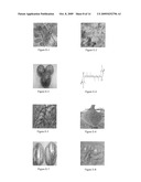 NUTRITIONAL SUPPLEMENT FOR THE PREVENTION OF CARDIOVASCULAR DISEASE, ALZHEIMER S DISEASE, DIABETES, AND REGULATION AND REDUCTION OF BLOOD SUGAR AND INSULIN RESISTANCE diagram and image