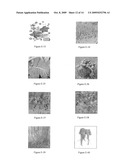 NUTRITIONAL SUPPLEMENT FOR THE PREVENTION OF CARDIOVASCULAR DISEASE, ALZHEIMER S DISEASE, DIABETES, AND REGULATION AND REDUCTION OF BLOOD SUGAR AND INSULIN RESISTANCE diagram and image