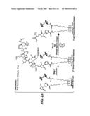 Novel Chemistry Used in Biosensors diagram and image