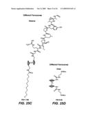 Novel Chemistry Used in Biosensors diagram and image